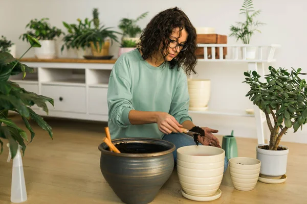 Woman grows potted plants at home, watering and replanting flowers