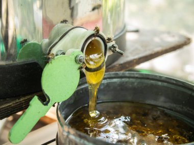 honey production and bees keeping - Beekeeping