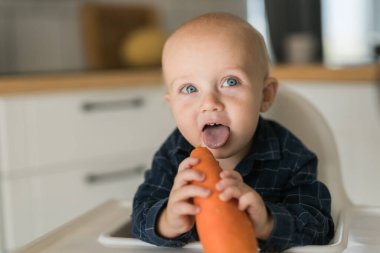 Little boy in a blue t-shirt sitting in a childs chair eating carrot - baby care and infant child feeding