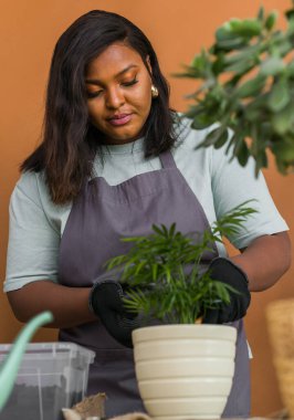 Smiling young woman and pot with plant happy work in indoor garden or cozy home office with different houseplants. Happy millennial female gardener florist take care of domestic flower