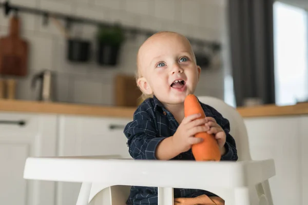 stock image Happy baby sitting in high chair eating carrot in kitchen. Healthy nutrition for kids. Bio carrot as first solid food for infant. Children eat vegetables. Little boy biting raw vegetable