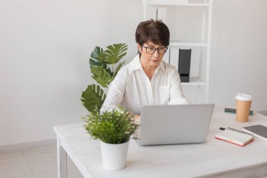 Güzel orta yaşlı esmer iş kadını portresi modern iş yerinde oturuyor ve dizüstü bilgisayarında daktilo yazıyor.