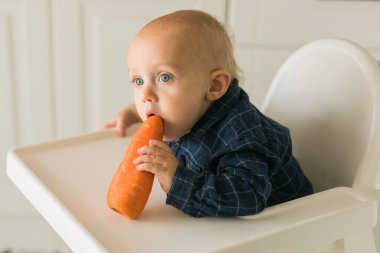 Little boy in a blue t-shirt sitting in a childs chair eating carrot - baby care and infant child feeding