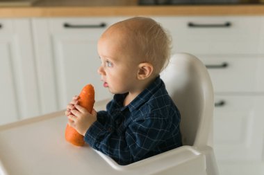 Mutlu bebek yüksek sandalyede oturup mutfakta havuç yiyor. Çocuklar için sağlıklı beslenme. Bebekler için ilk katı yiyecek olarak biyohavuç. Çocuklar sebze yer. Küçük çocuk çiğ sebze yiyor.