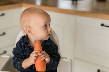 Mavi tişörtlü, çocuk sandalyesinde oturmuş havuç yiyor. Bebek bakımı ve bebek maması yiyor.