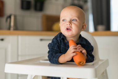 Little boy in a blue t-shirt sitting in a childs chair eating carrot - baby care and infant child feeding