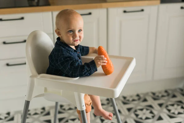 stock image Happy baby sitting in high chair eating carrot in kitchen. Healthy nutrition for kids. Bio carrot as first solid food for infant. Children eat vegetables. Little boy biting raw vegetable