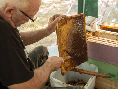 Beekeeper cuts off the wax from the honeycomb frame. Production of fresh honey and tool for extraction of honey