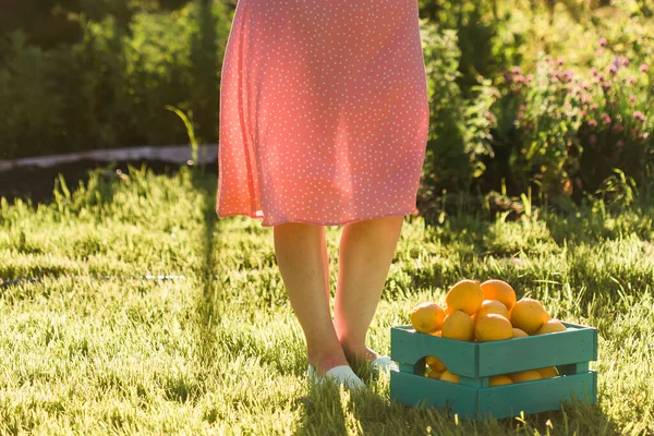 Jonge Blanke Positieve Vrouw Tuinier Hoed Roze Jurk Houdt Doos — Stockfoto