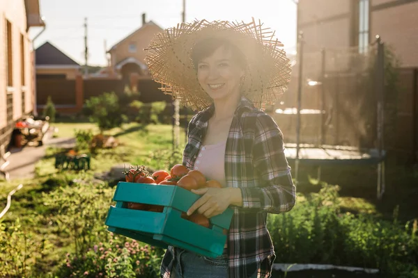 Trabajadora Joven Jardinero Sombrero Paja Recoge Caja Cosecha Tomates Soleado —  Fotos de Stock