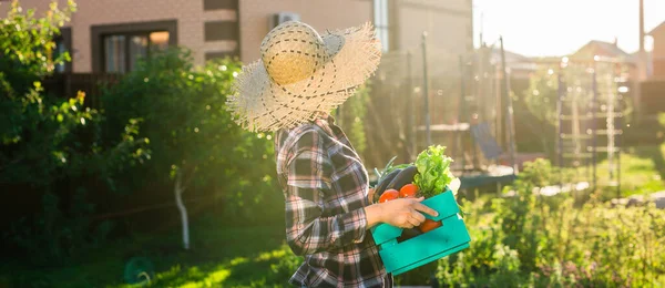 Trabajadora Joven Jardinero Sombrero Paja Recoge Caja Cosecha Tomates Soleado — Foto de Stock