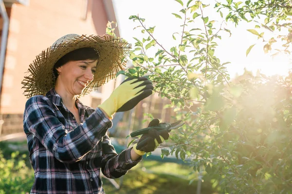 Neşeli Beyaz Kadın Bahçıvan Bahçedeki Elma Ağacını Incelerken Ağaçtan Gereksiz — Stok fotoğraf