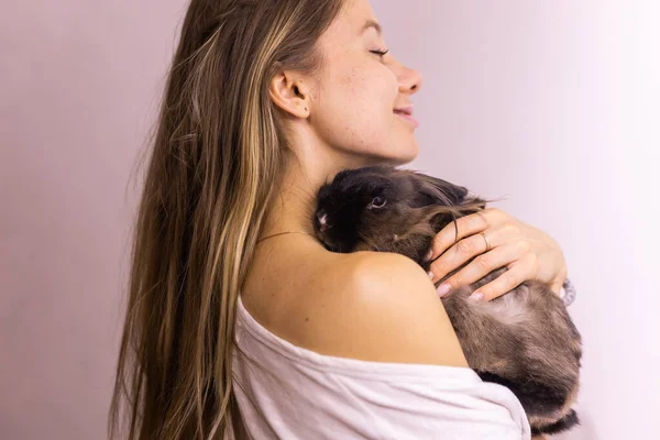 Rolig Söt Brun Kanin Husdjur Ägare Händer Kanin Husdjur Hemmet — Stockfoto