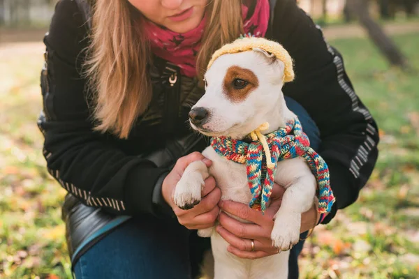Mujer Caminando Jack Russell Terrier Bruselas Griffon Perros Parque — Foto de Stock