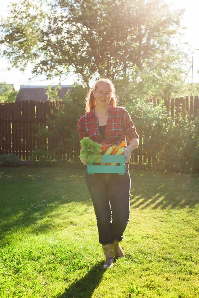 Çiftçi Kadın Elinde Taze Çiğ Sebzelerle Dolu Tahta Bir Kutu — Stok fotoğraf