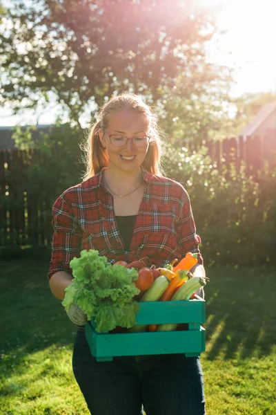 収穫した野菜の箱を運ぶ農家 — ストック写真