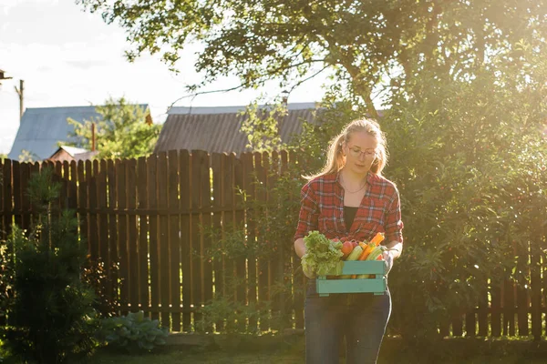 Agricultor Que Lleva Caja Verduras Recogidas — Foto de Stock