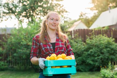 Farmer woman holding wooden box full of fresh raw vegetables. Basket with vegetable cabbage, carrots, cucumbers, radish, corn, garlic and peppers in the hands.