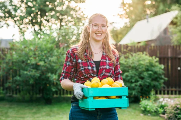 Organic female farmer holding box full of fresh produce on her farm. Happy young woman smiling at camera while standing in her vegetable garden. Successful farmer harvesting vegetables