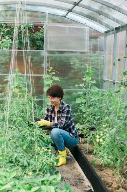 Woman working inside greenhouse garden - Nursery and spring