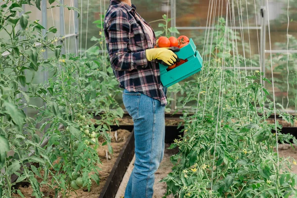 Mujer Campesina Sosteniendo Caja Madera Llena Verduras Frescas Crudas Cesta — Foto de Stock