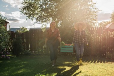 Female farmer working in field. Gardener carrying crate with freshly harvested vegetables in garden.