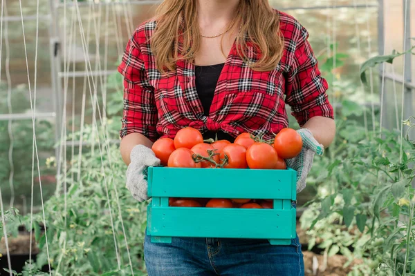 Органическая Женщина Фермер Держит Коробку Свежими Продуктами Своей Ферме Счастливая — стоковое фото