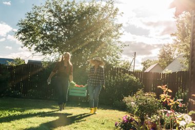 Female farmer working in field. Gardener carrying crate with freshly harvested vegetables in garden.