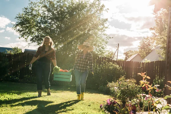 Vackra Kvinnor Bonde Som Håller Mogna Ekologiska Grönsaker Trälåda Trädgården — Stockfoto