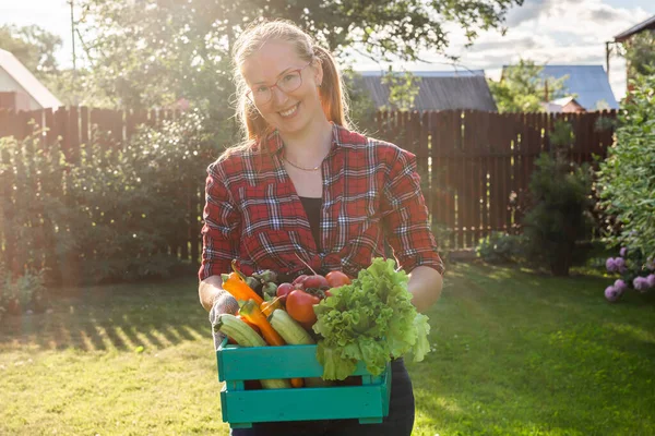 Agricultor Que Lleva Caja Verduras Recogidas — Foto de Stock