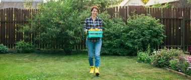Farmer woman holding wooden box full of fresh raw vegetables. Basket with vegetable cabbage, carrots, cucumbers, radish, corn, garlic and peppers in the hands.