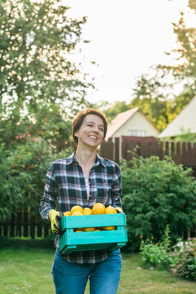 新鮮な生野菜の入った木箱を持った農家の女性 野菜キャベツ ニンジン キュウリ トウモロコシ ニンニク ピーマンを手に入れたバスケット — ストック写真