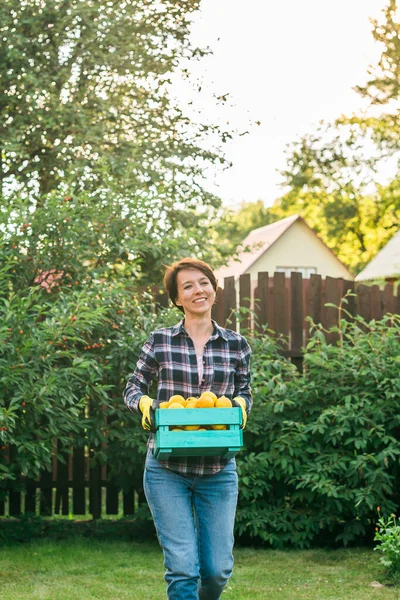 Organic Female Farmer Holding Box Full Fresh Produce Her Farm — Stok fotoğraf