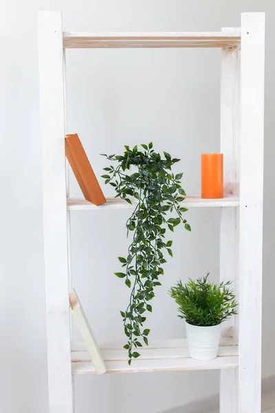 Holzregal Mit Schönen Zimmerpflanzen Drinnen Wohndesign Idee — Stockfoto