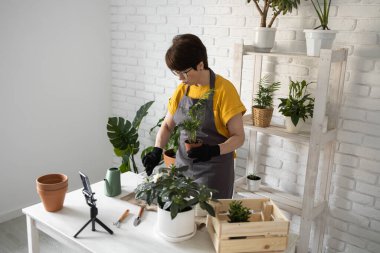 Relaxing home gardening. Smiling middle aged woman in black gloves with potted plant records gardening video blog in modern house - blogging and florist vlog influencer.