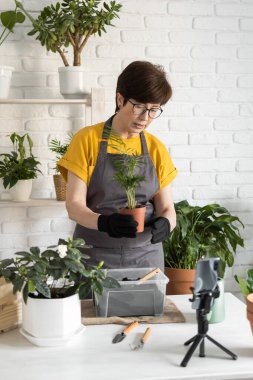 Female blogger sits in front of smartphone camera on tripod records instructional tutorial video for her blog shoots process of replanting flowers and green plants