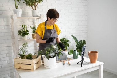 Relaxing home gardening. Smiling middle aged woman in black gloves with potted plant records gardening video blog in modern house - blogging and florist vlog influencer.