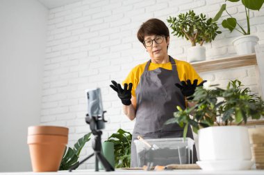 Female blogger sits in front of smartphone camera on tripod records instructional tutorial video for her blog shoots process of replanting flowers and green plants