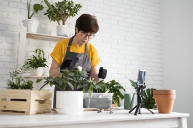 Female blogger sits in front of smartphone camera on tripod records instructional tutorial video for her blog shoots process of replanting flowers and green plants
