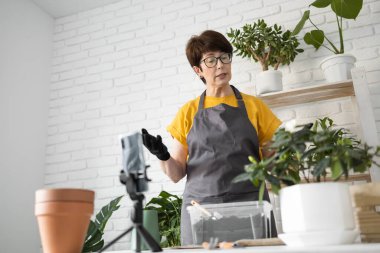 Relaxing home gardening. Smiling middle aged woman in black gloves with potted plant records gardening video blog in modern house - blogging and florist vlog influencer.