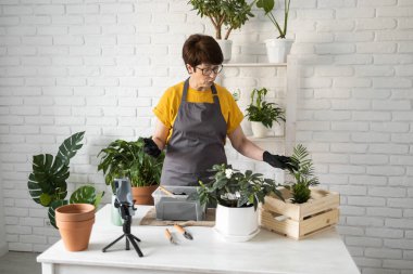 Female blogger sits in front of smartphone camera on tripod records instructional tutorial video for her blog shoots process of replanting flowers and green plants