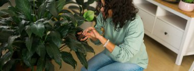 Smiling young woman and pot with plant happy work in indoor garden or cozy home office with different houseplants. Happy millennial female gardener florist take care of domestic flower