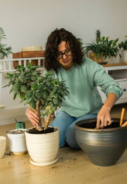 Woman grows potted plants at home watering and take care flowers - gardening and houseplant care