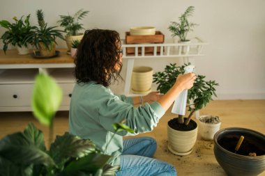 Smiling young woman and pot with plant happy work in indoor garden or cozy home office with different houseplants. Happy millennial female gardener florist take care of domestic flower