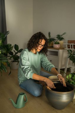 Woman grows potted plants at home watering and take care flowers - gardening and houseplant care