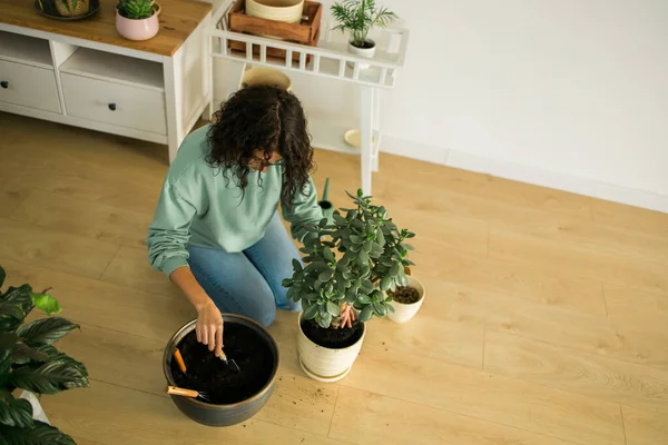 Woman Grows Potted Plants Home Watering Take Care Flowers Gardening — Stock fotografie