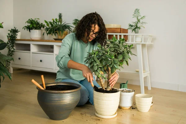 stock image Woman grows potted plants at home watering and take care flowers - gardening and houseplant care