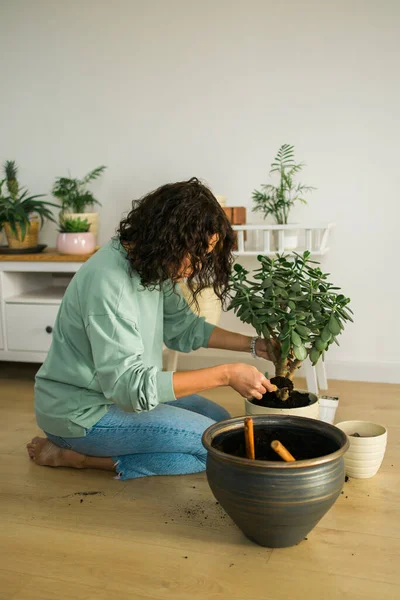 Woman Grows Potted Plants Home Watering Take Care Flowers Gardening — 图库照片