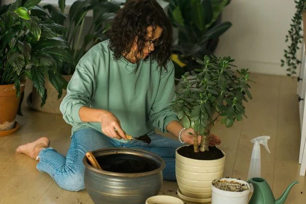Mulher Cresce Plantas Envasadas Casa Regando Cuidar Flores Jardinagem Cuidados — Fotografia de Stock