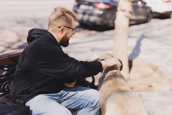 Man Stroking Homeless Dog Pet Street Dog — Stock Photo, Image